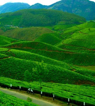 Munnar