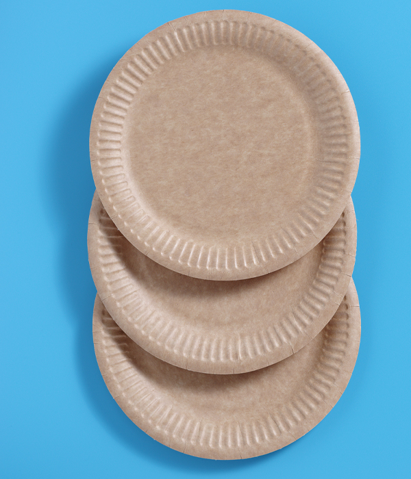 Paper Plate Manufacture and Supplier in Singapore