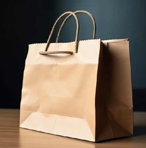 Paper Bag Paper Bag