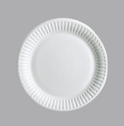 Paper Plate Paper Plate